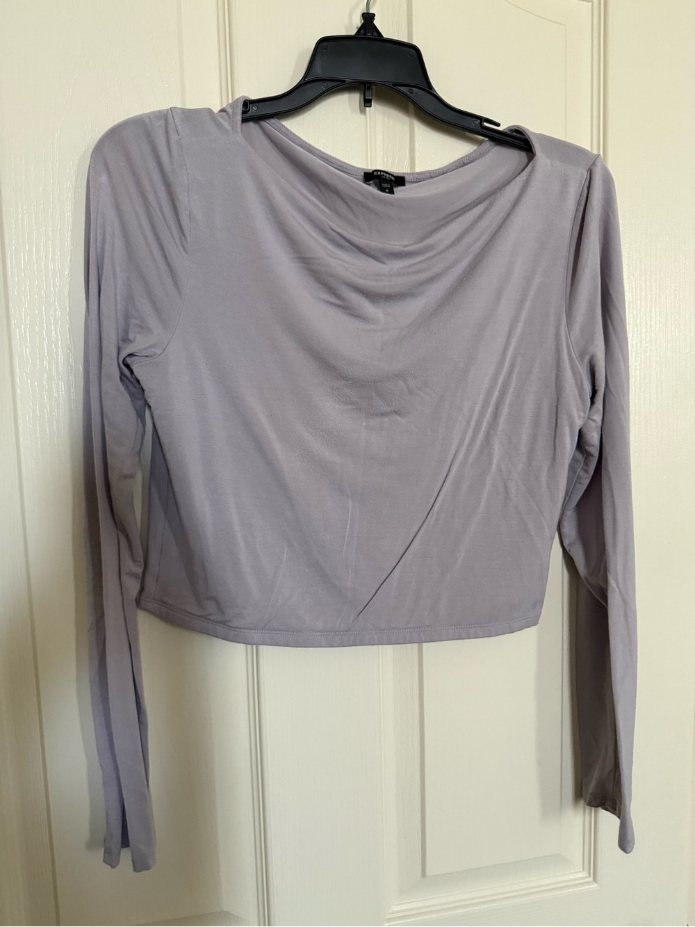 Express Light Lavender Long-Sleeve Crop Top